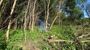 ВОССТАНАВЛИВАЮ ЗАБРОШЕННЫЙ УЧАСТОК. 1 СЕРИЯ