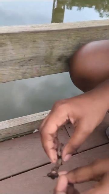 Piercing A Nightcrawler Worm 🪱 (Warning: If You’re Scared of Worms or Bugs, Do NOT Watch)