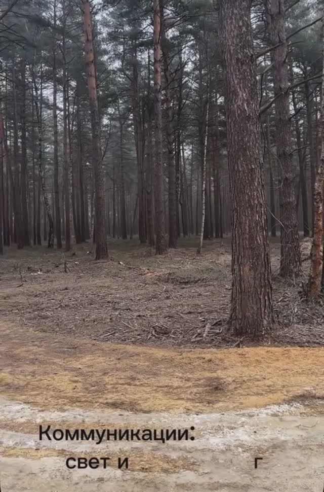 ScreenRecording_02-15-2025 18-50-43_1