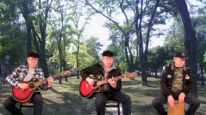 Журавли караваном все на юг улетают