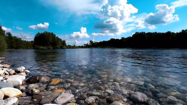 Семья Колесниковых/Новости из Дворца. смотреть онлайн