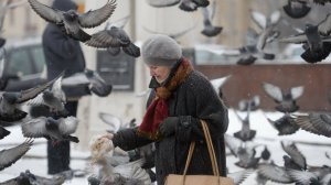 Старушка кормит голубей