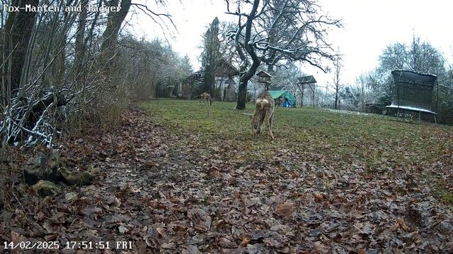 День в ночь, рогач...