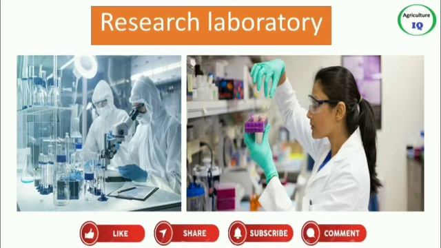 Private Jobs after agriculture entomology | Career in agriculture entomology | Agriculture IQ