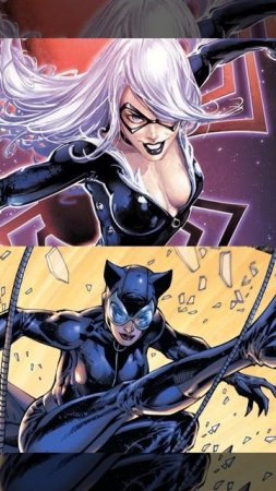 Black cat vs Catwoman