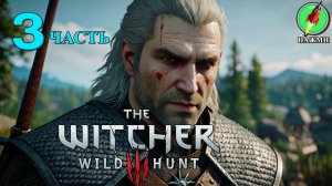 The Witcher 3: Wild Hunt - Прохождение Игры на Русском | часть 3