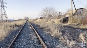 Уставшие тараканы в голове твердили: «Угомонись, вспомни, сколько тебе лет.
А шило в попе отвечало