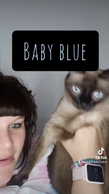 Vocabulary: Baby Blue