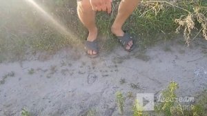 ОХОТА НА ФАЗАНА!!!ВЫШЕЛ НА ОХОТУ С ПНЕВМАТИКОЙ!!!