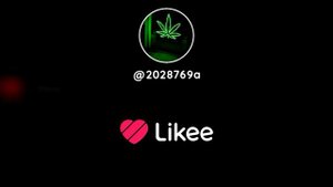 милое видео