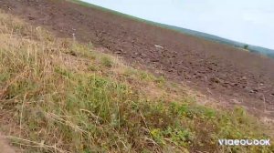 Второй день в летних приключениях!|Едем в город!|Взяли котёнка на время!!!| Ура!!