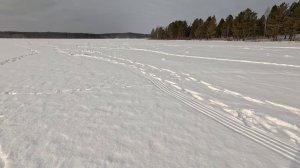 Долгобродское водохранилище, рыбалка, февраль 2025.