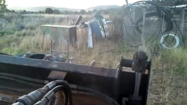 Dingo 1video 2012 08 12 17 03 18 смотреть онлайн