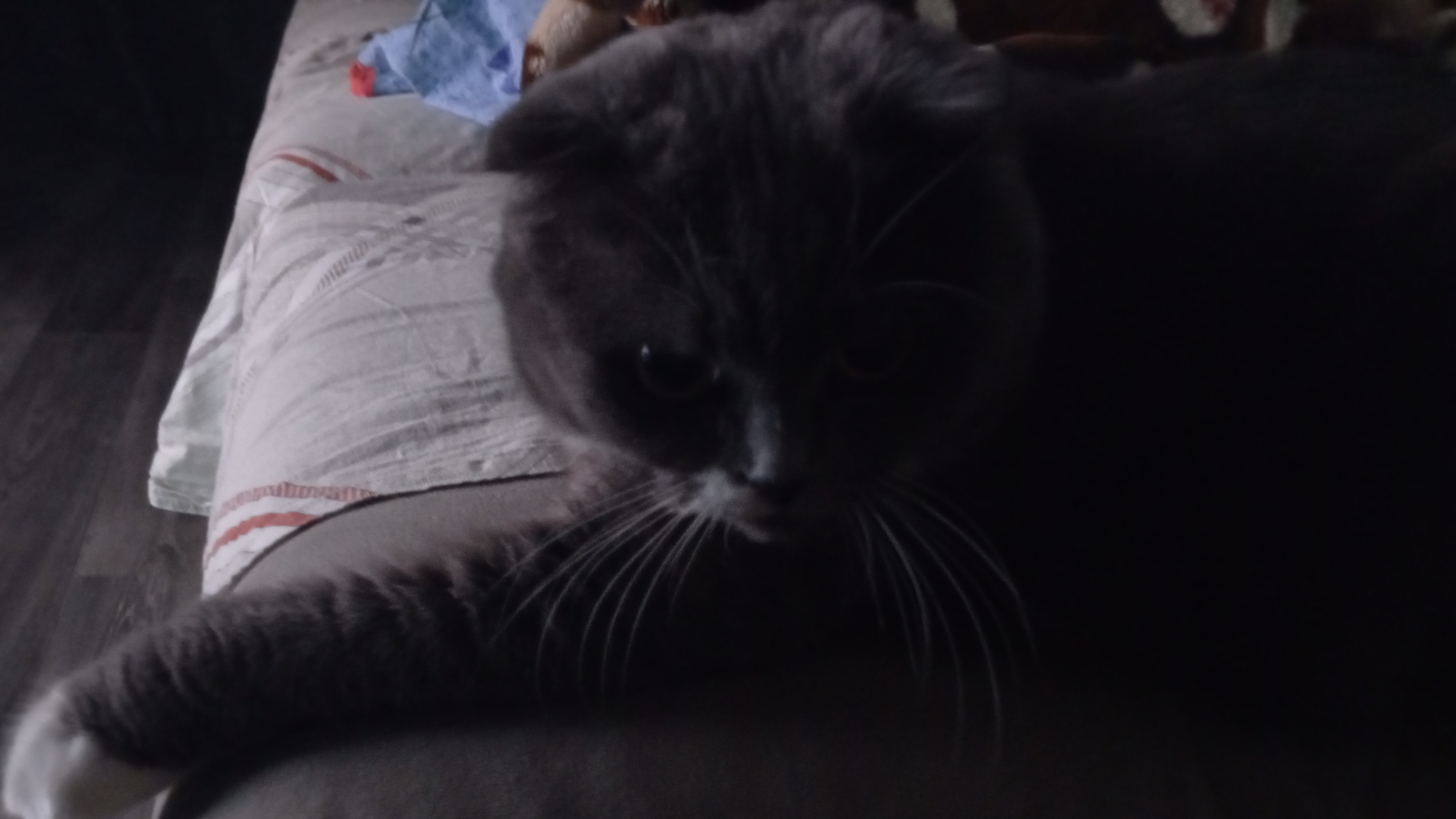 убираюсь в комнате смотреть онлайн