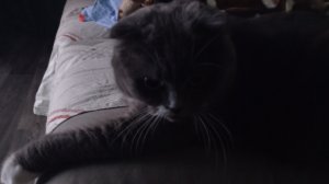 убираюсь в комнате