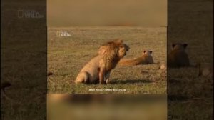 монтажное видео