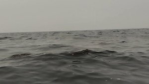 Снежногорск Амурская область Зейское море