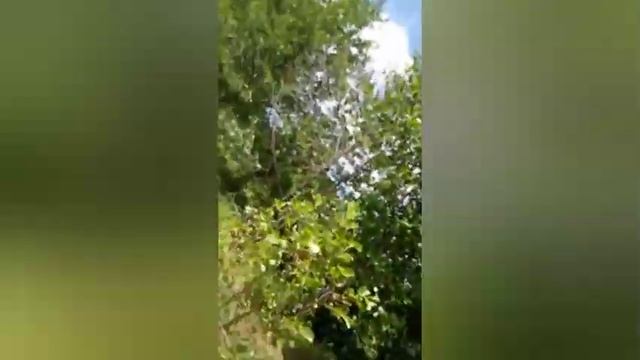 Мы испугались ужа смотреть онлайн