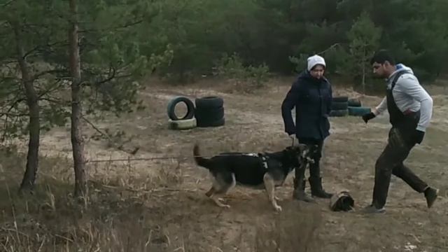 ВЕО Ника. смотреть онлайн