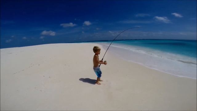 Keegan's Bonefish Bird Island Jan 14 смотреть онлайн