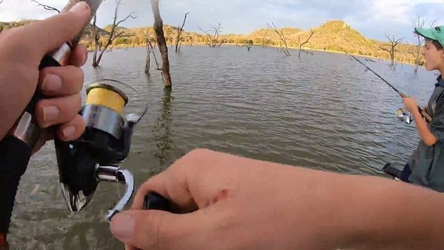 Catching Tigerfish and Bream (Tilapia/Kurper) on artificial lures (Afrijigs) смотреть онлайн
