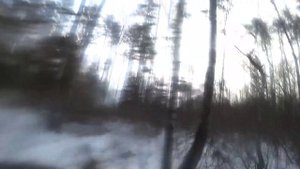 Валка дерева бензопилой // Stihl ms361