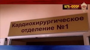 Посадить Вячеслава Володина.