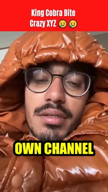Cobra Snake Bites @CrazyXYZ Amit Bhai?? 🐍😰 #shorts #viral #shortsvideo смотреть онлайн