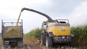 Силосозбиральні комбайни New Holland – ідеальна якість кормів.