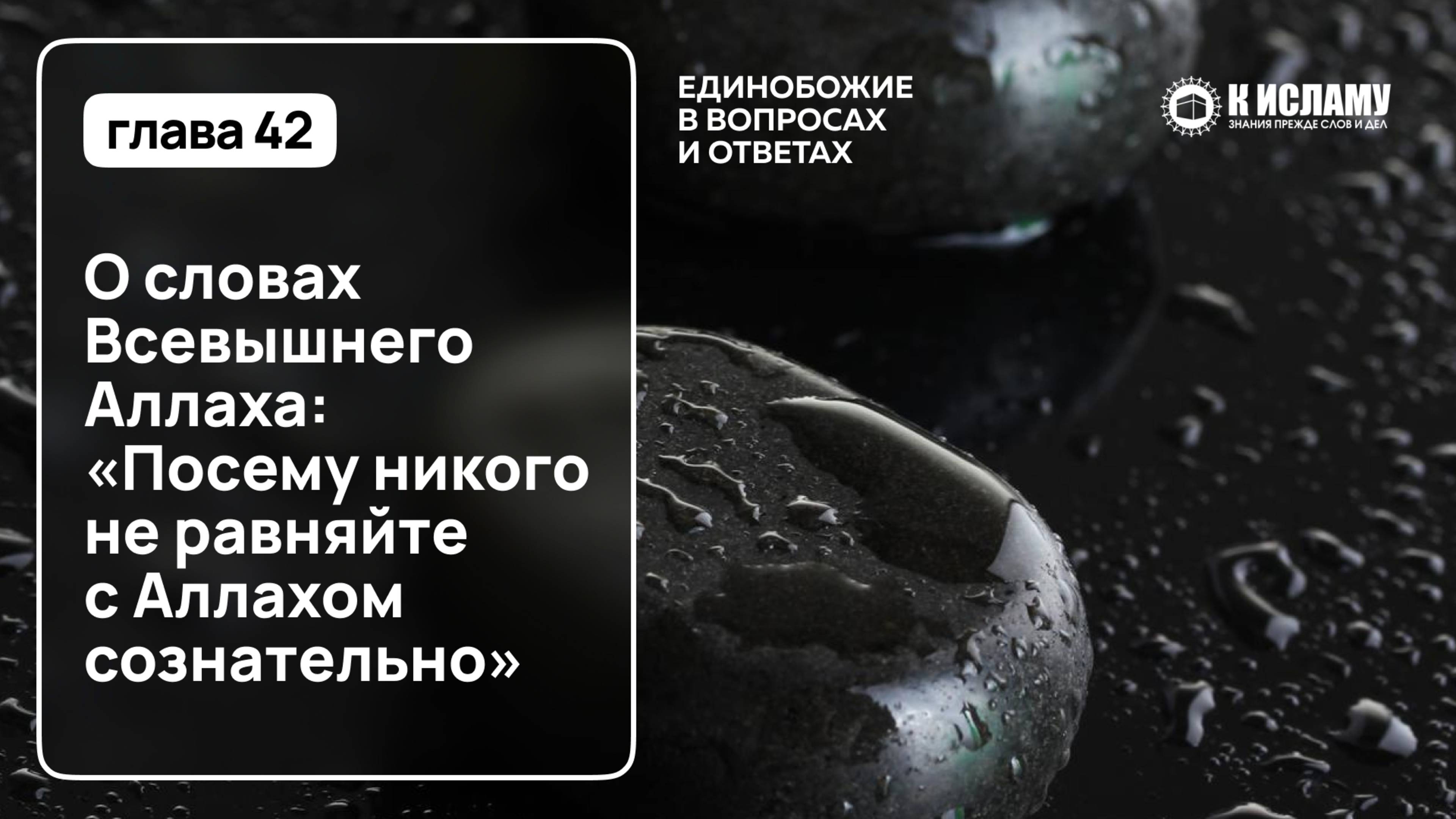 📓 ГЛАВА 42: О СЛОВАХ ВСЕВЫШНЕГО АЛЛАХА: «ПОСЕМУ НИКОГО НЕ РАВНЯЙТЕ С АЛЛАХОМ СОЗНАТЕЛЬНО»