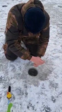 Очередные поимки форели на пасту и резину !