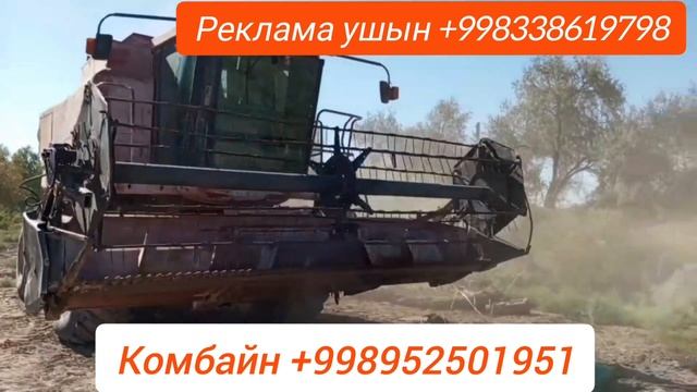 Шымбай салы орыуга тайын тур /Каракалпакстан/Шымбай 2023  /Агробизнес /Агротехника