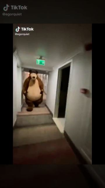 Bear running down hallway #shorts смотреть онлайн