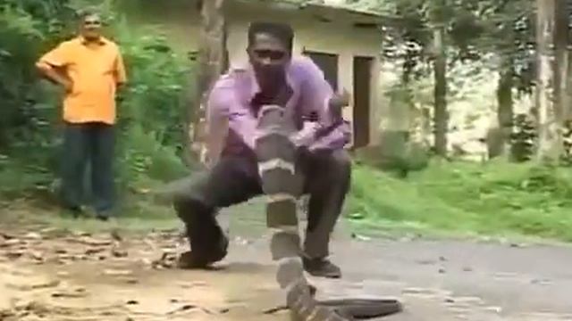 Смертельная игра с коброй! Deadly trick with a cobra! Taslak смотреть онлайн