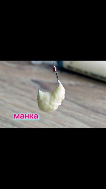 на что клюет (сазан) #рыбалка #сазан #рыба #лайфхакидлярыбалки #rek #жизненно #золотойкарась смотреть онлайн