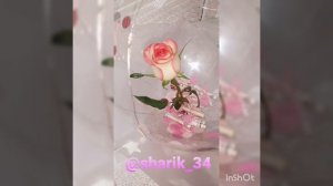 Роза в воздушном шаре