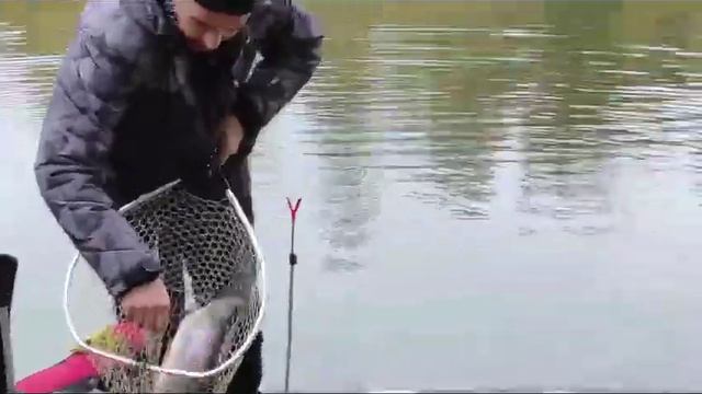 Поимка Форели на бобра смотреть онлайн