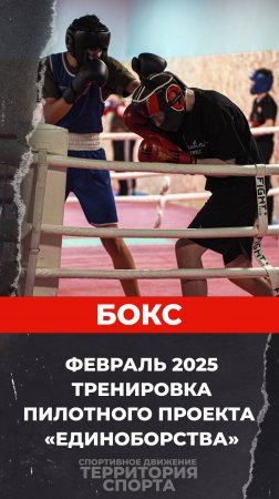 пилотный проект "Территория спорта. Единоборства". Бокс. Февраль 2025