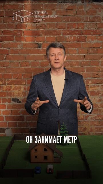 Как посадить родовое дерево?