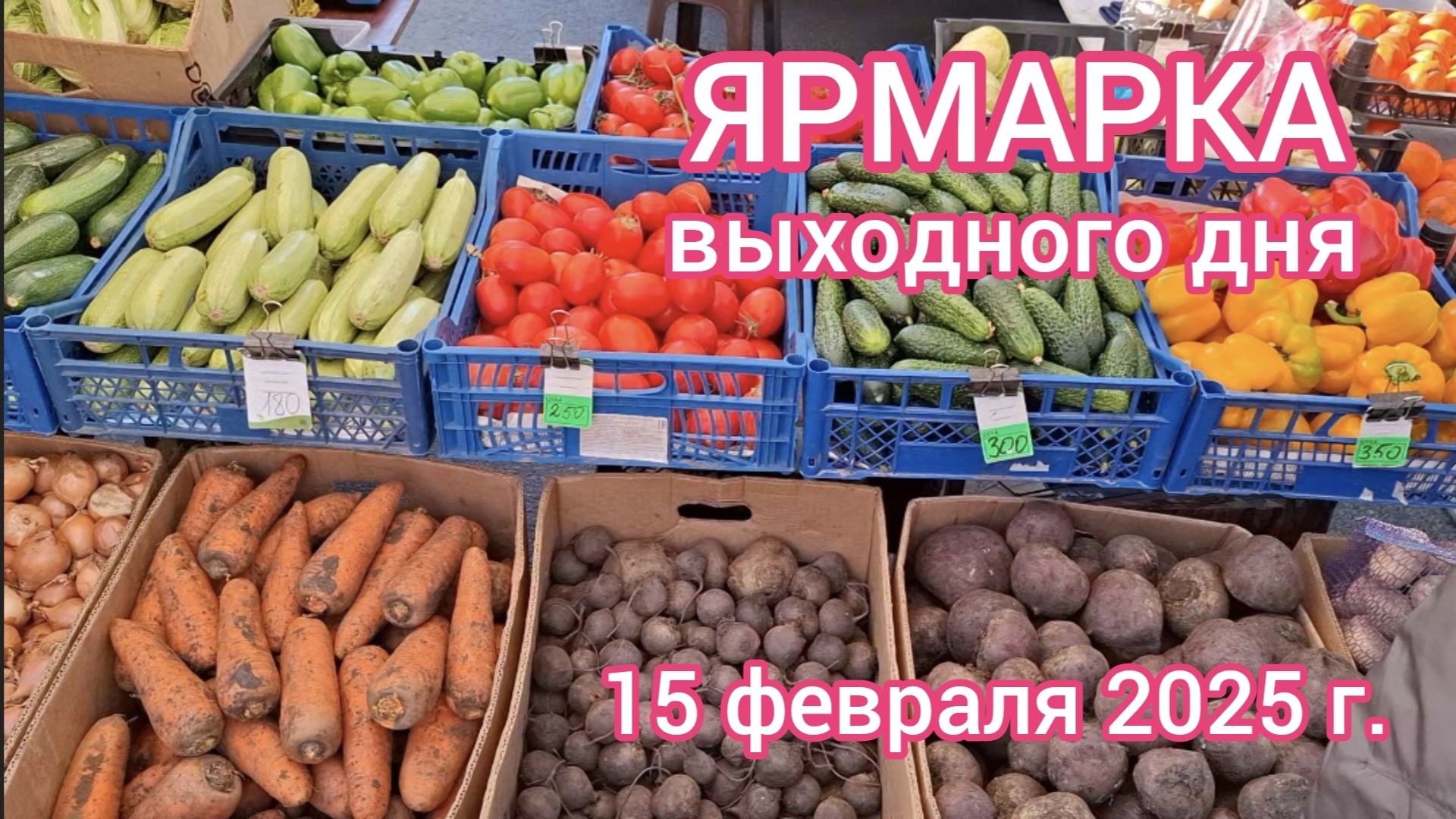 Краснодар - Ярмарка выходного дня на ул. Одесская - цены на продукты - 15 февраля 2025 г.