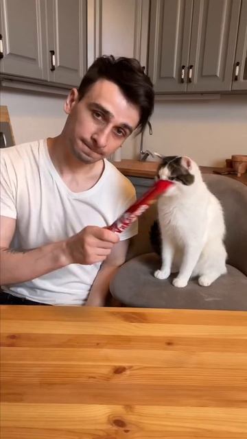 Чек ё КитКат #shorts смотреть онлайн