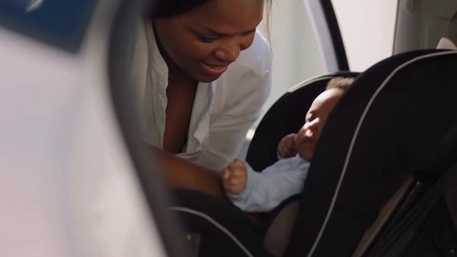 First 5 Shasta presents the W.H.A.L.E. KIT 🐳 🐳 🐳 смотреть онлайн