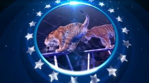 Багдасаровы