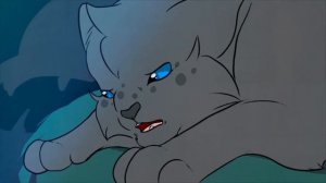 коты воители грустный клип