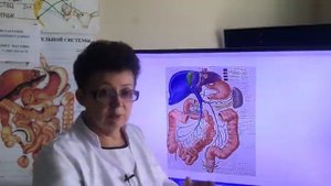 Восстановление печени и поджелудочной железы