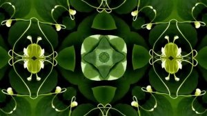 Шаманский бубен 1