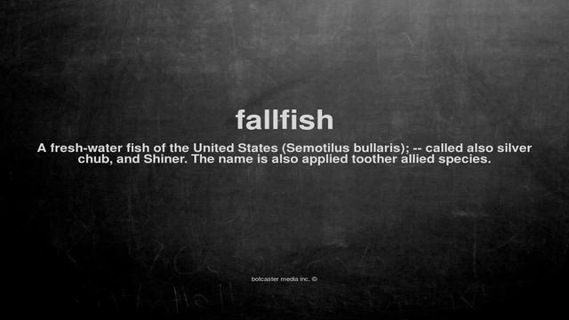 What does fallfish mean смотреть онлайн