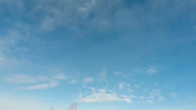 прогулка
