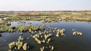 ВИДЕО ПРЕЗЕНТАЦИЯ - ЗУ 16га