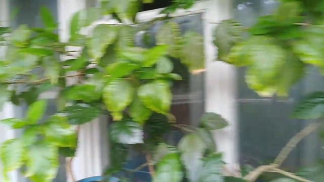 12 июля 2021 г. смотреть онлайн